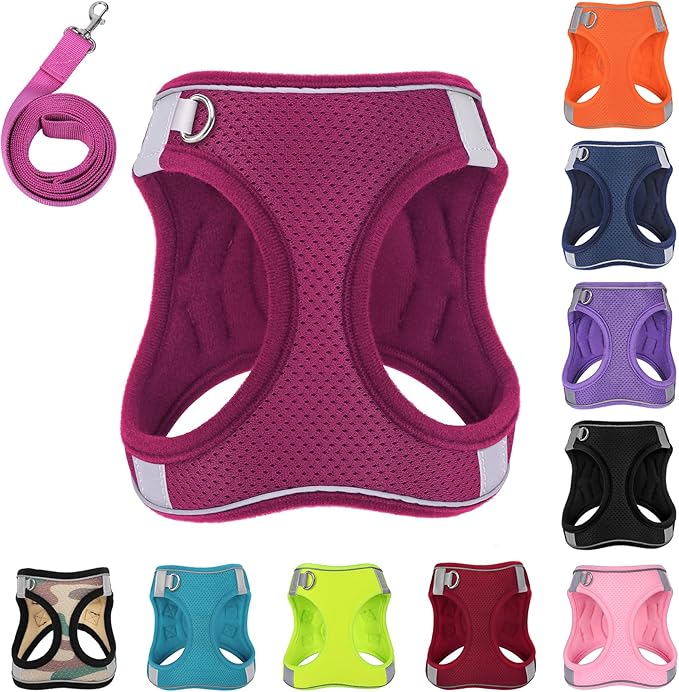 Dog Harness with Leash Set, No-Pull Step-in Reflective Pet Harness with 1 Leash Clips, Adjustable Soft Padded Easy Walk Dog Vest for Small Medium Large Dogs, Cats(Rose Red, Medium)