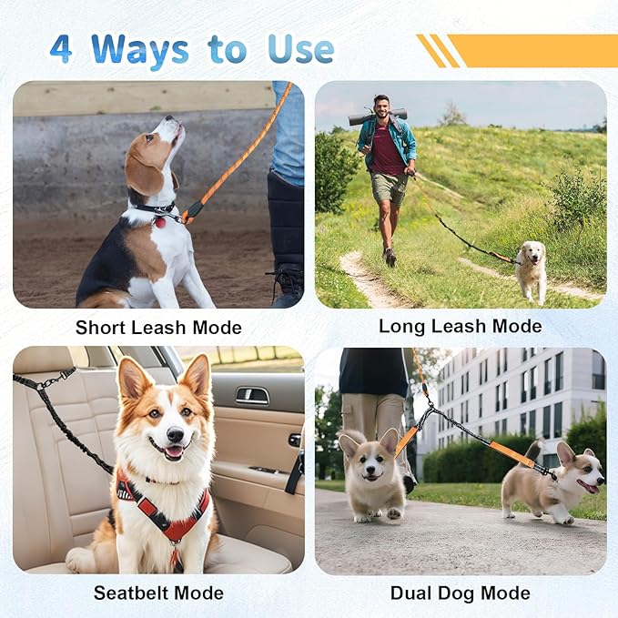 Double Dogs Leash - Removable Main Lead Rope with Splitter, No Tangle 2 Dog Coupler, Reflective No Pull Bungee, 3 Handle, D-Ring, Extra Long for Walk Train Medium Large Two Pet (Orange)