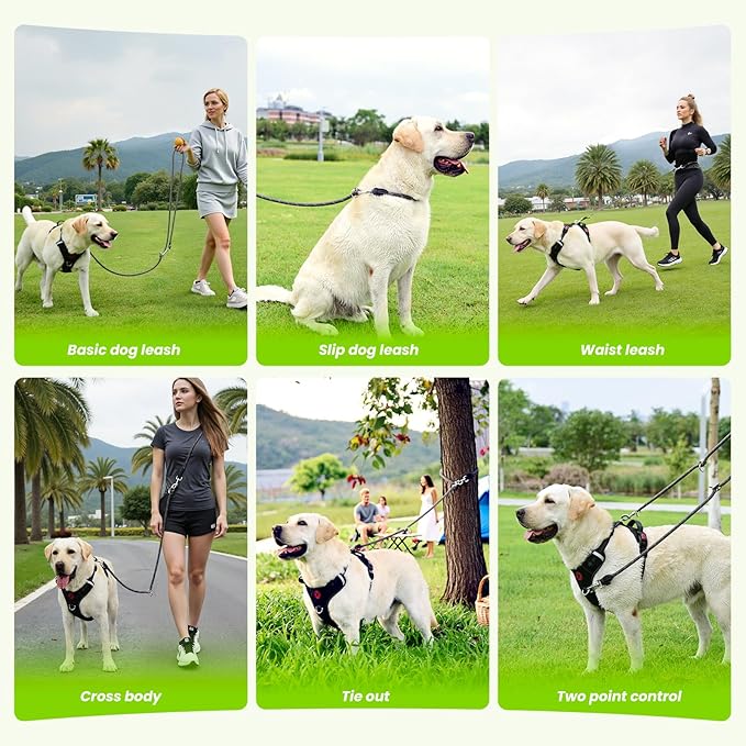6-in-1 Heavy Duty Multifunctional Reflective Dog Leash for Medium & Large Dogs, 6.5ft Adjustable Hand Free Nylon Lead with Double Strength Clips, Perfect for Tie Out Training & Jogging (Grey)