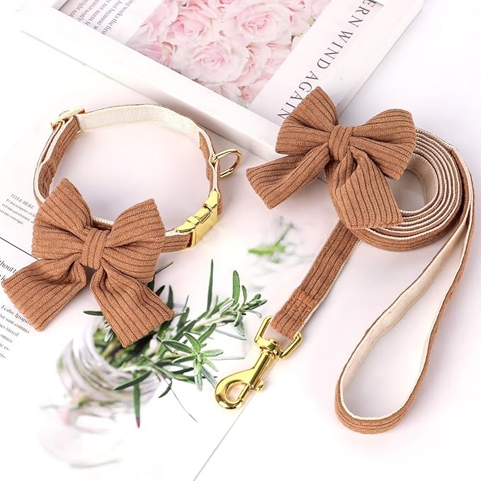 Didog Dog Collar and Leash Set with Bowtie, Girl Dog Collars Metal Buckle Adjustable for Small Medium Dogs(Brown, S)