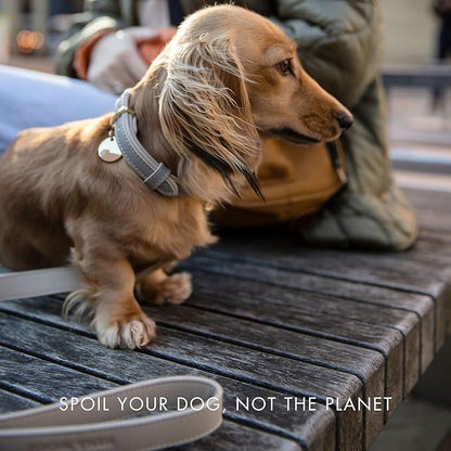 Nina Woof London Vegan Leather Dog Lead (4ft) Padded Luxury - Large & Medium Dogs, Ideal Long Leash (Grey Over Beige)