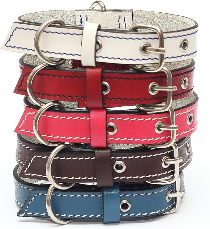 Premium Leather Collars with Stainless Steel Buckles (9"-12", Chocolate)