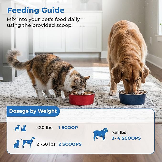 CK Formulations | S boulardii + FOS for Dogs and Cats | Probiotic and Prebiotic Powder | Support Gut Health, Diarrhea | 6 Billion CFU | 60g