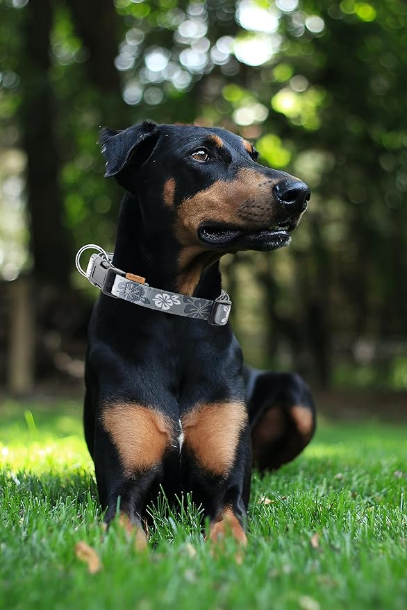 Dog Collar, Cute Floral Pattern, Neoprene Padded and Adjustable Collar with Quick Release Buckle, Reinforced Structure (L (Neck 18-28", Width 1"), Hawaiian Grey)
