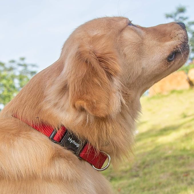 Hyhug Medium Dog Collar, Red:Heavy-Duty Quick-Release Nylon Buckle, Adjustable & Durable, Cute Dog Collar (Medium, Red)