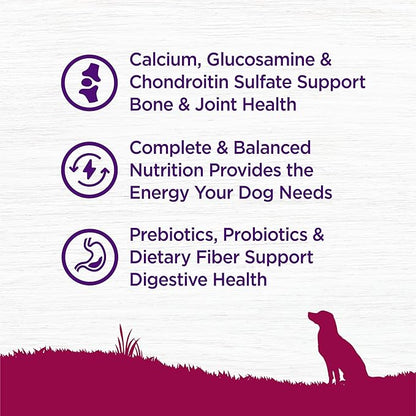 Wellness Complete Health Senior Dry Dog Food, Small Breed, Wholesome Grains, Natural, Age Advantage Turkey & Peas Recipe, (4-Pound Bag)