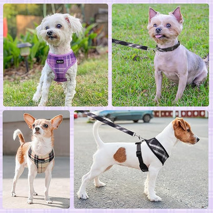 SCENEREAL No Pull Dog Harness Collar and Leash Set Small Medium Sized Dog, Soft Mesh Step in Puppy Harnesses, No Chock Plaid Adjustable Pet Vest for Outdoor Walking Training and Running, Black XS