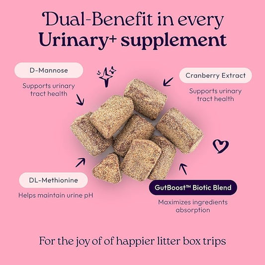 New! WellJoy Cat Supplement Urinary+ GutBoost | Cat Health Supplement | Supports Urinary Tract Health | Dual-Benefit GutBoost Formulation | Vet Formulated | USA Made | Chicken Flavor | 90 Soft Chews