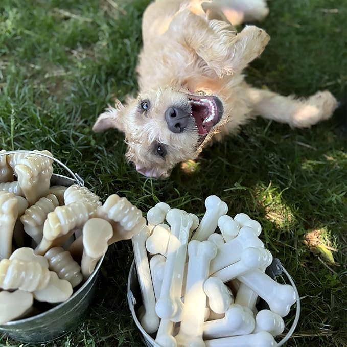 Nylabone Original Bone Power Chew Toy for Dogs, Durable & Tough Dog Toys for Aggressive Chewers, Chicken Flavor, Small - Up to 25 Ibs, 1 Count