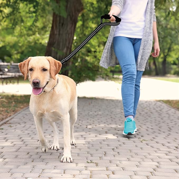 Kruz Dog Leash (Width - 1”, Length - 20 in) Reflective Rope Lead with Soft Silicone Grip, Click & Lock Snap, Durable Nylon Safety Lead with Locking Carabiner Clip & Foam Handle - Blue