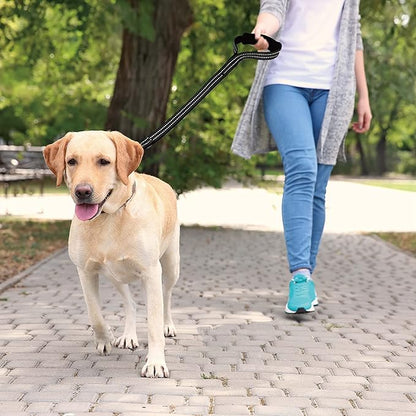Kruz Dog Leash (Width - 1”, Length - 20 in) Reflective Rope Lead with Soft Silicone Grip, Click & Lock Snap, Durable Nylon Safety Lead with Locking Carabiner Clip & Foam Handle - Blue