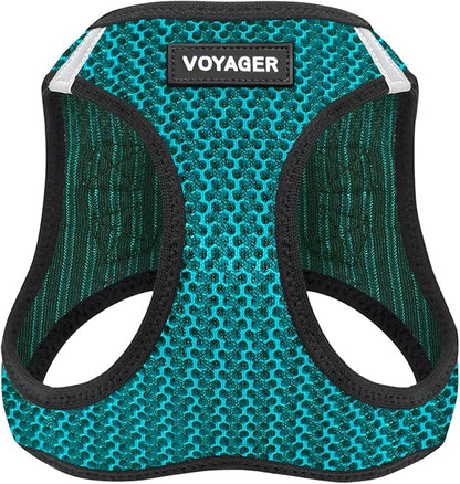 Best Pet Supplies Voyager Step-in Air Harness - All Weather Mesh, Reflective, No Pull Harness for Dogs, Cats - Secure with Hook & Loop Fastener, Buckle, Double D-Rings - Turqupise 2-Tone, XL