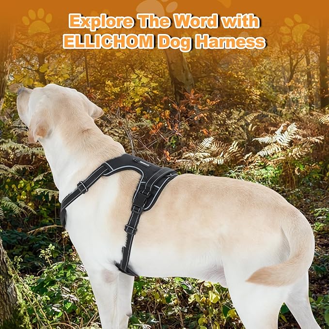No Pull Dog Harness with 3 Snap Buckles,No Choke Front Lead pet Harness Reflective and Adjustable Soft Padded Vest for Small Medium Large Dog (Black, Large)