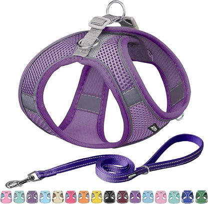 AIITLE Escape Proof Dog Harness - Step in Adjustable Dog Harness No Choke Over with Breathable Mesh and Quick-Release Buckle for All Weather- Outdoor Walking, Training for Medium Dogs Pure Purple XL
