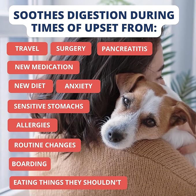 Under the Weather Bland Diet for Dogs | Easy to Digest Stomach Support for Sick Dogs | Contains Electrolytes, All Natural | 1 Pack - Turkey, Oatmeal, Sweet Potato & Slippery Elm - 6oz