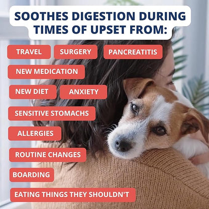 Under the Weather Bland Diet for Dogs | Easy to Digest Stomach Support for Sick Dogs | Contains Electrolytes, All Natural | 1 Pack - Turkey, Oatmeal, Sweet Potato & Slippery Elm - 6oz