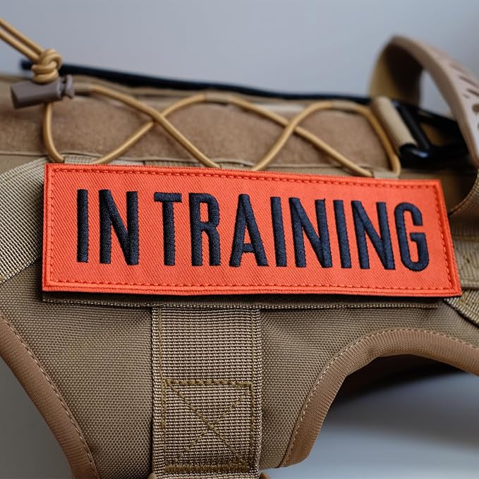 FITZNORA Embroidered in Training Patches, 2 Pack Clear Sign with Hook and Loop Pieces, Easy to Read Tabs for Dog Vest Harness Collar, 6 x 2 inches