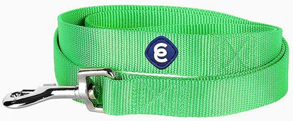 Blueberry Pet Essentials Neon Green Dog Leash for X-Small -5' * 3/8" Dogs | Heavy Duty Nylon Lead | Lightweight Puppy & Cat Leash for Walking & Training