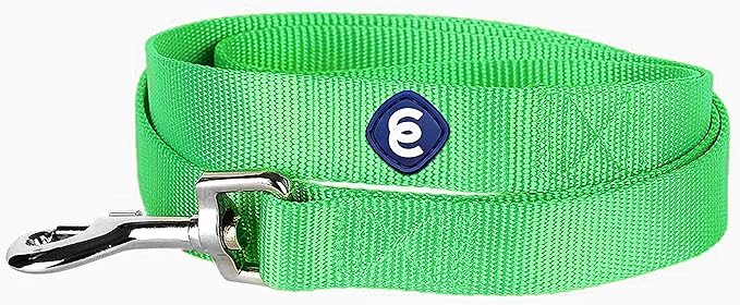 Blueberry Pet Essentials Neon Green Dog Leash for Small -5' * 5/8" Dogs | Heavy Duty Nylon Lead | Lightweight Puppy & Cat Leash for Walking & Training