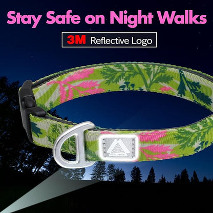 Small Dog Collar with Reflective Logo and Soft Padded Neoprene,Summer Tropical Leaf Design, Adjustable,Lightweight & Durable, Neck Size 9’’-14’’ (Leaf, S)
