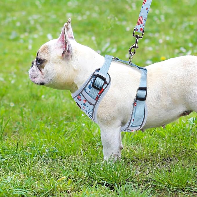 PUPTECK Small Dog Harness and Leash Set, No Pull Adjustable Puppy Cat Harness, Reflective Soft Mesh Pet Vest Small Sized, American Style, S
