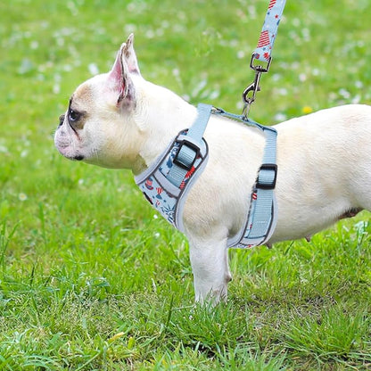 PUPTECK Small Dog Harness and Leash Set, No Pull Adjustable Puppy Cat Harness, Reflective Soft Mesh Pet Vest Small Sized, American Style, S
