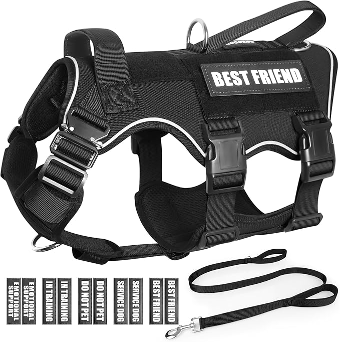 Tactical Service Dog Vest and Leash Set,Heavy Duty Harness with Metal Buckles for Large Dogs,Adjustable No Pull Pet Vest with 10 Patches,for Training Working Hiking,Black L