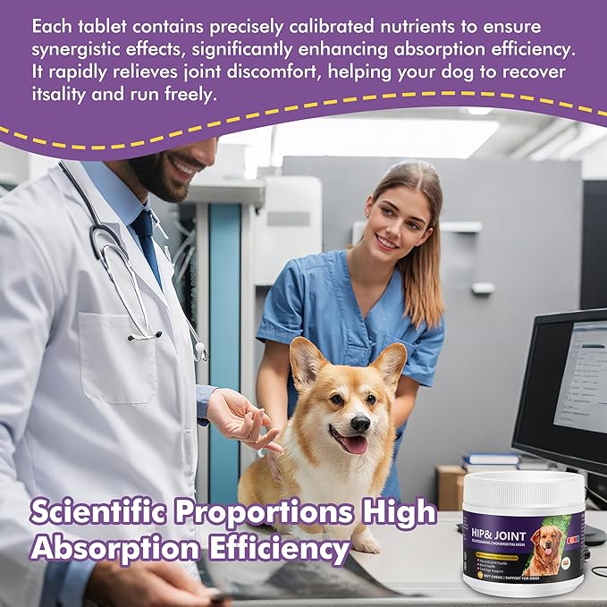 Glucosamine Chondroitin MSM Chewable Tablets for Dogs - Hip & Joint Support Supplement with Vitamins, Chicken Flavor, Joint Pain Relief for Puppies & Senior Dogs, 120 Count