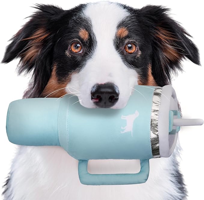 Pup Cup Tumbler Dog Toy – Cute Girl Dog Toy, Valentines & Birthday Gift, Interactive Squeaker, Fun Puppy Present (Mint Green)