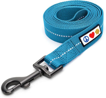 Pawtitas Teal Dog Leash 6 ft M/L Reflective Durable Lightweight Recycled Lead for Medium or Large Dogs and Puppies