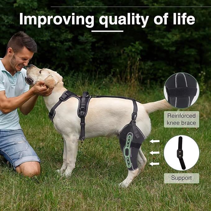 Dog Knee Brace for ACL/CCL Injuries,Torn Ligament,Luxating Patella - Rear Leg Support,Pain Relief,Joint Warmth,Left Legs,Black,Size:XL