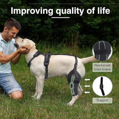 Dog Knee Brace for ACL/CCL Injuries,Torn Ligament,Luxating Patella - Rear Leg Support,Pain Relief,Joint Warmth,Left Legs,Black,Size:XL