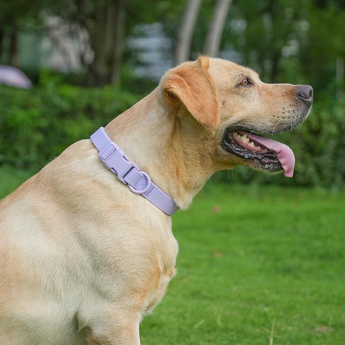 Waterproof Rubber Dog Collar, Odor-Resistant and Easy to Clean, Ideal for Daily Walks, Rainy Days, Swimming and Hiking, Fits Small Medium and Large Dogs