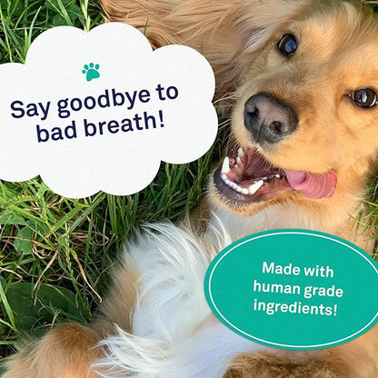Petpost | Toothpaste for Dogs - Coconut Oil and Baking Soda Based Dental Gel That Naturally Eliminates Bad Breath - Dirt, Gunk, and Tooth Buildup Gone - Mint Flavor 4 oz.