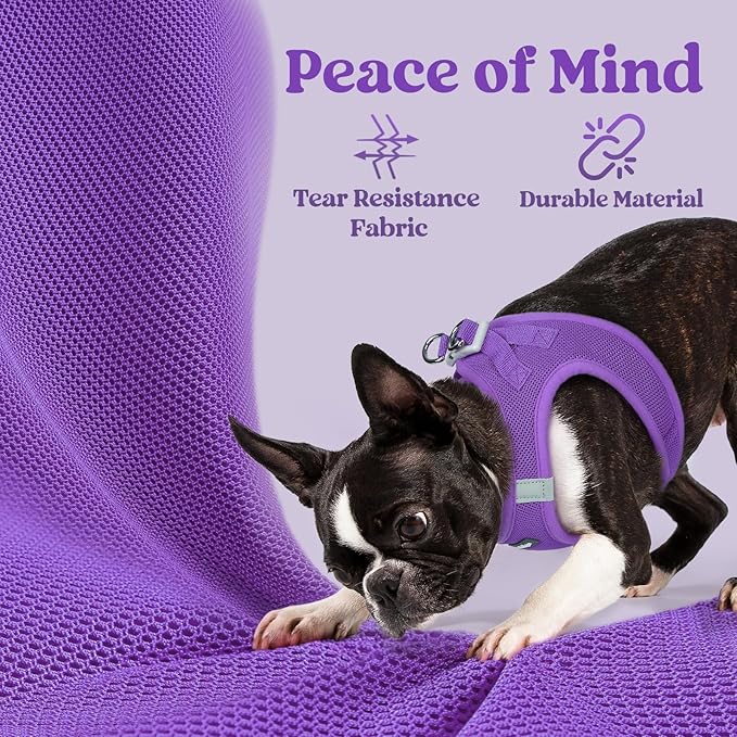 rabbitgoo Small Dog Harness, Step-in Soft Mesh Puppy Vest with Safety Buckle, Breathable Reflective Pet Harness for Small Medium Dogs, Purple L