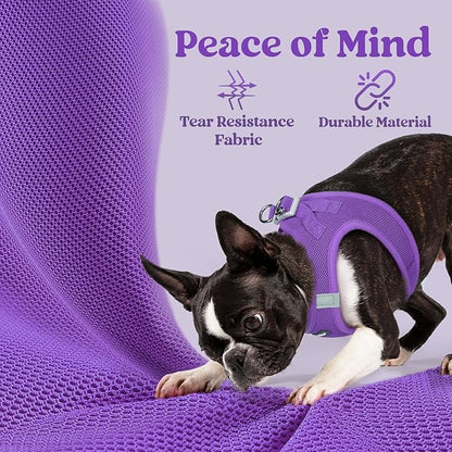rabbitgoo Small Dog Harness, Step-in Soft Mesh Puppy Vest with Safety Buckle, Breathable Reflective Pet Harness for Extra Small Dogs, Purple XXXS