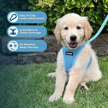 Best Pet Supplies Voyager Step-in Air Harness - All Weather Mesh, Reflective, No Pull Harness for Dogs, Cats - Secure with Hook & Loop Fastener, Buckle, Double D-Rings - Baby Blue, XL