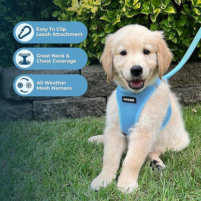 Best Pet Supplies Voyager Step-in Air Harness - All Weather Mesh, Reflective, No Pull Harness for Dogs, Cats - Secure with Hook & Loop Fastener, Buckle, Double D-Rings - Baby Blue, M