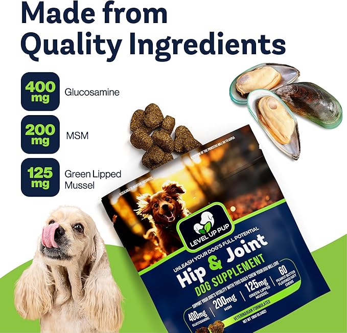 LVL Up Pup Dog Joint Supplement for Senior Dogs – Hip & Joint Supplement for Dogs with Glucosamine, Chondroitin, MSM – Dog Supplement for Large Breed – Joint Health Chews