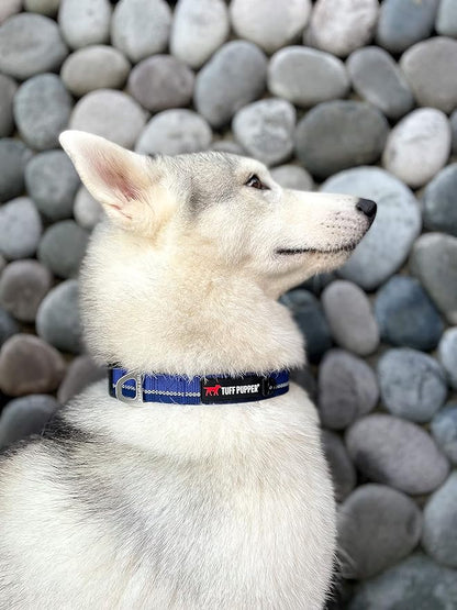 Tuff Pupper Heavy Duty Dog Collar | Tough Dogs Collar | Reflective Collars with Aluminum D-Ring Leash Clip | Separate ID Tag Attachment Keeps Engraved Dog Tags Quiet | Easy Sizing for All Breeds