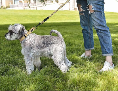 haapaw 2 Packs Martingale Dog Collar with Quick Release Buckle Reflective Dog Training Collars for Small Medium Large Dogs (S Neck 12"-13", Beige, 1+1 Packs)