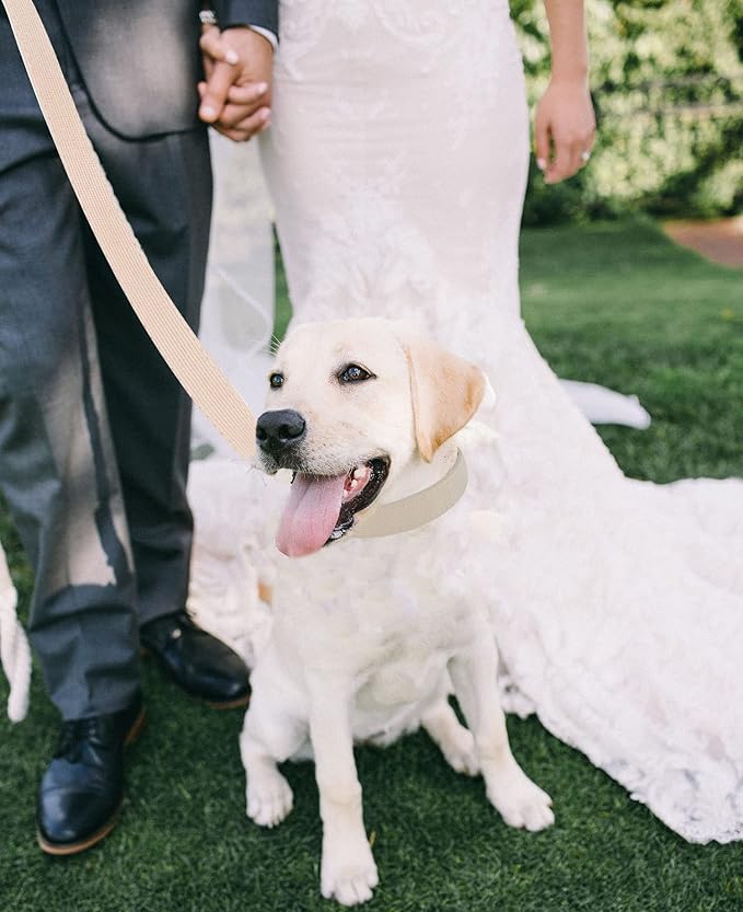 Ewinoom Soft Corduroy Dog Collar and Leash Set Adjustable Durable Wedding Dog Collars with Metal Buckle and Lead for Large Dogs,Beige