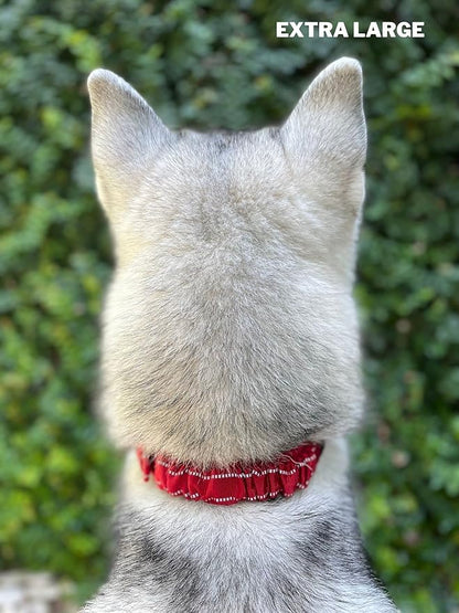 Tuff Pupper Heavy Duty Dog Collar with Handle | Ballistic Nylon Heavy Duty Collar | Padded Reflective Dog Collar with Adjustable Stainless Steel Hardware | Convenient Sizing for All Breeds
