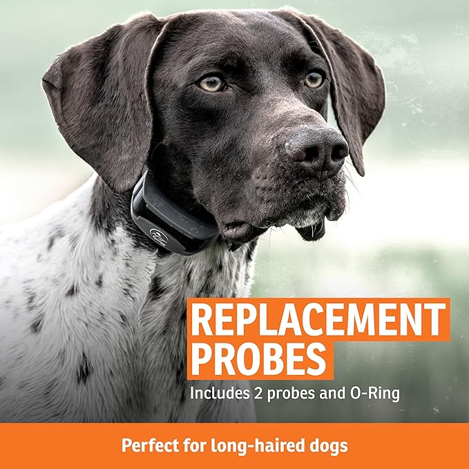 SportDOG Brand Long Contact Points – 5/8 Inch Replacement Probes E-Collars - Longer Length for Thick Coats