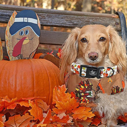 Elegant littlle Tail Thanksgiving Dog Collar, Turkey Pet Collars Soft Cotton Winter Dog Collar with Quick Release Buckle Pet Puppy Collars for Small Medium Large Dogs