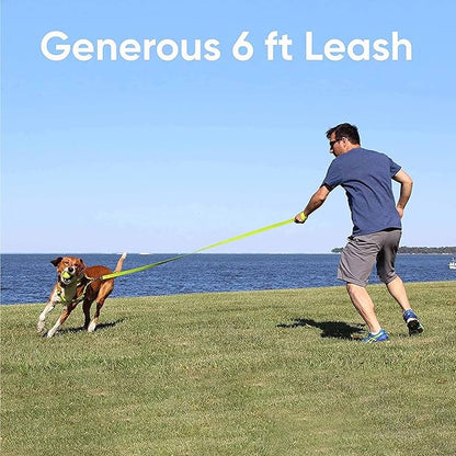 Pawtitas Personalized 6 ft Black Dog Leash XS/S Custom Name and Phone Embroidery Strong Nylon Leash for Small Breeds