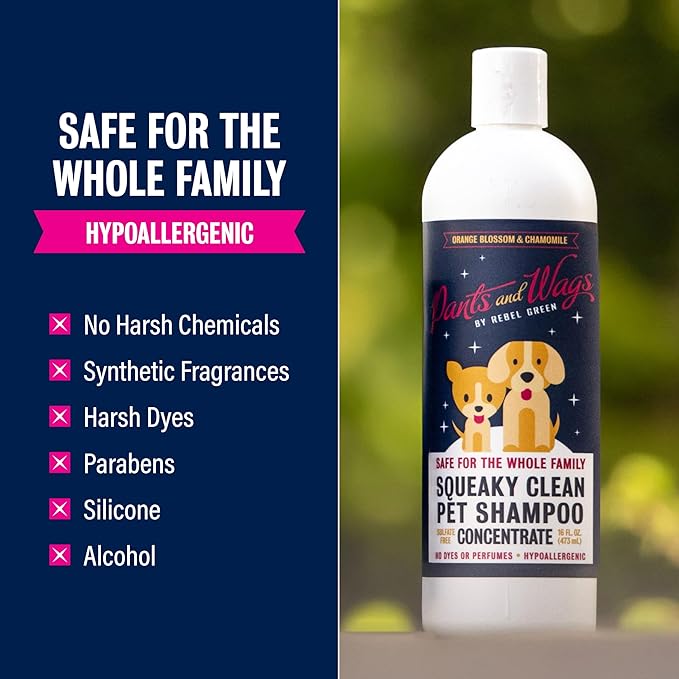 Pants and Wags by Rebel Green Squeaky Clean Pet Shampoo Concentrate - Orange Blossom & Chamomile - Hypoallergenic - No Dyes or Perfumes - 16 oz - 2 Pack