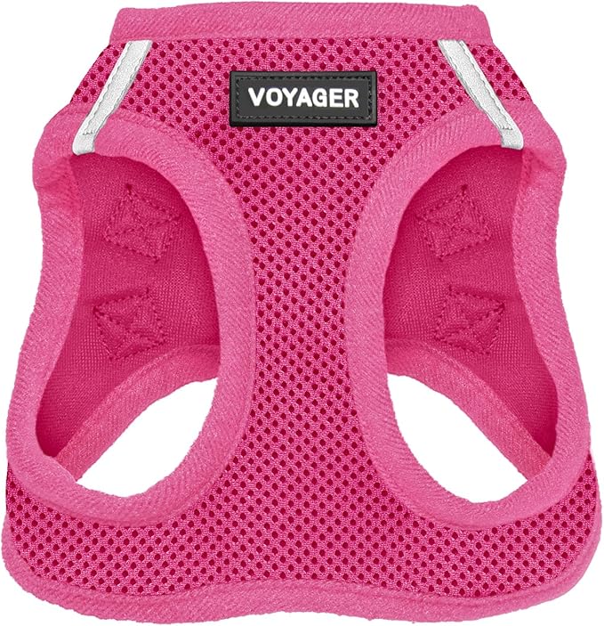 Best Pet Supplies Voyager Step-in Air Harness - All Weather Mesh, Reflective, No Pull Harness for Dogs, Cats - Secure with Hook & Loop Fastener, Buckle, Double D-Rings - Fuchsia, L