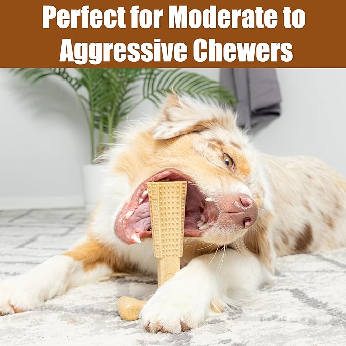SPOT Bam-Bones Plus T-Bone, Bamboo Fiber & Nylon Dog Chew, Durable for Aggressive Chewers, Non-Splintering, for Adult Dogs & Teething Puppies Under 90lbs, 7in, Chicken Flavor