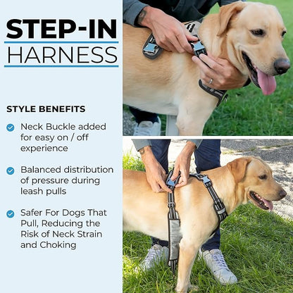 DogTraxs - Step-in Dog Harness - For Medium Dogs - Soft Padding & Reflective Trim - Adjustable No Pull Through Design - Control Handle - Top & Front Clip Durable - Silver Gray